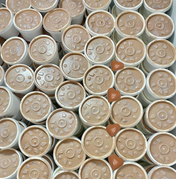Helado Indv Chocolate
