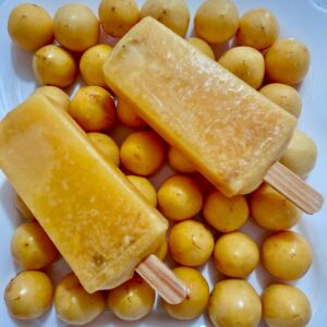 Paleta Nanche