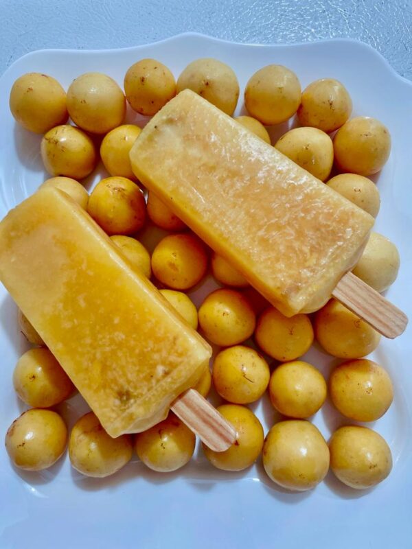Paleta Nanche